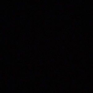 Meet your Posher, Bailey